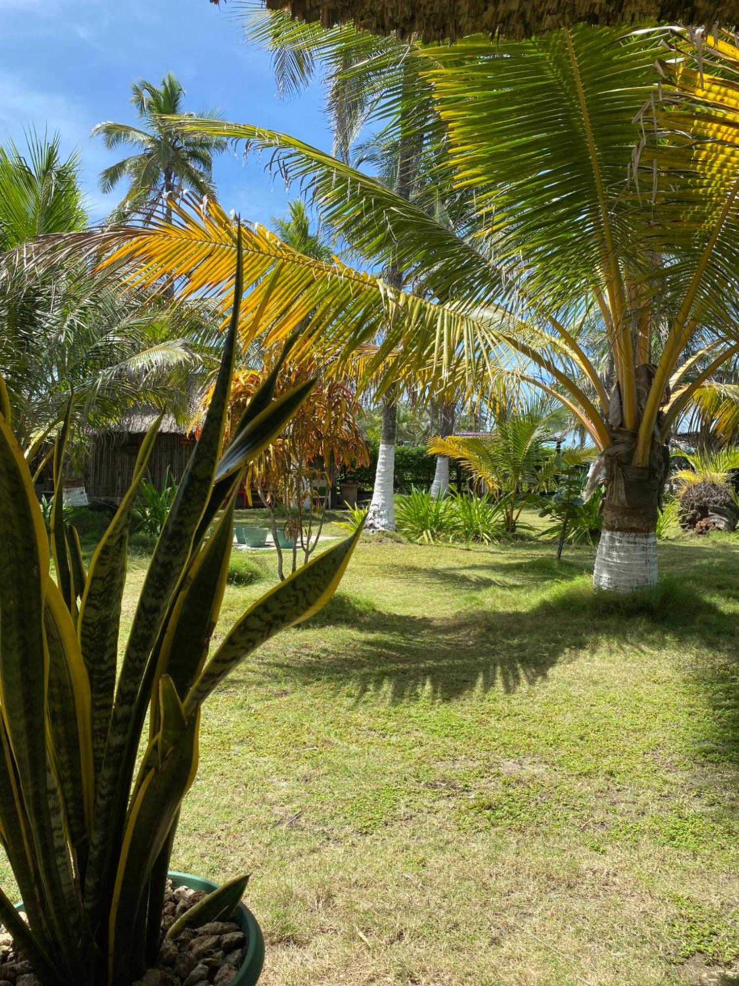 Zefiro Hostal San Bernardo del Viento Dış mekan fotoğraf